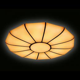 Потолочный светодиодный светильник Ambrella light Orbital Parrus  - 3